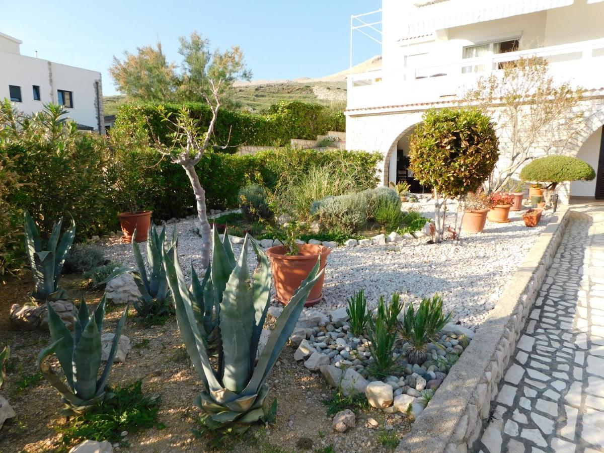 Apartment Salus Pag Town