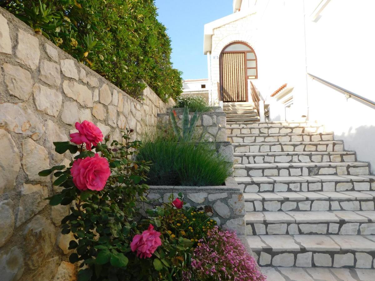 Apartment Salus Pag Town