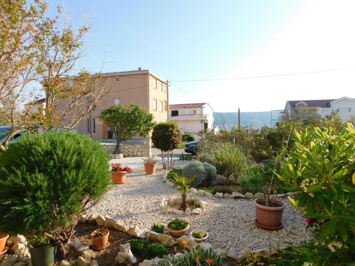 Apartment Salus