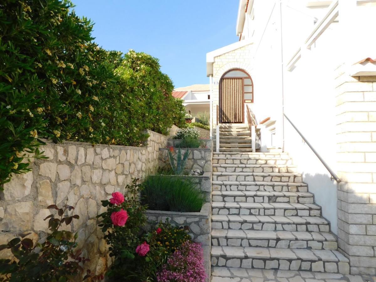 Apartment Salus *
